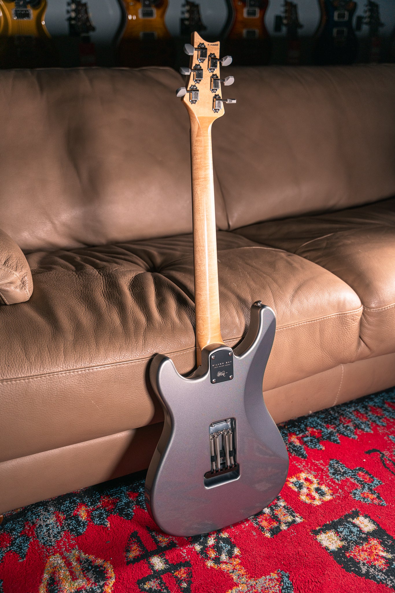 PRS - 2019 - Silver Sky in Tungsten