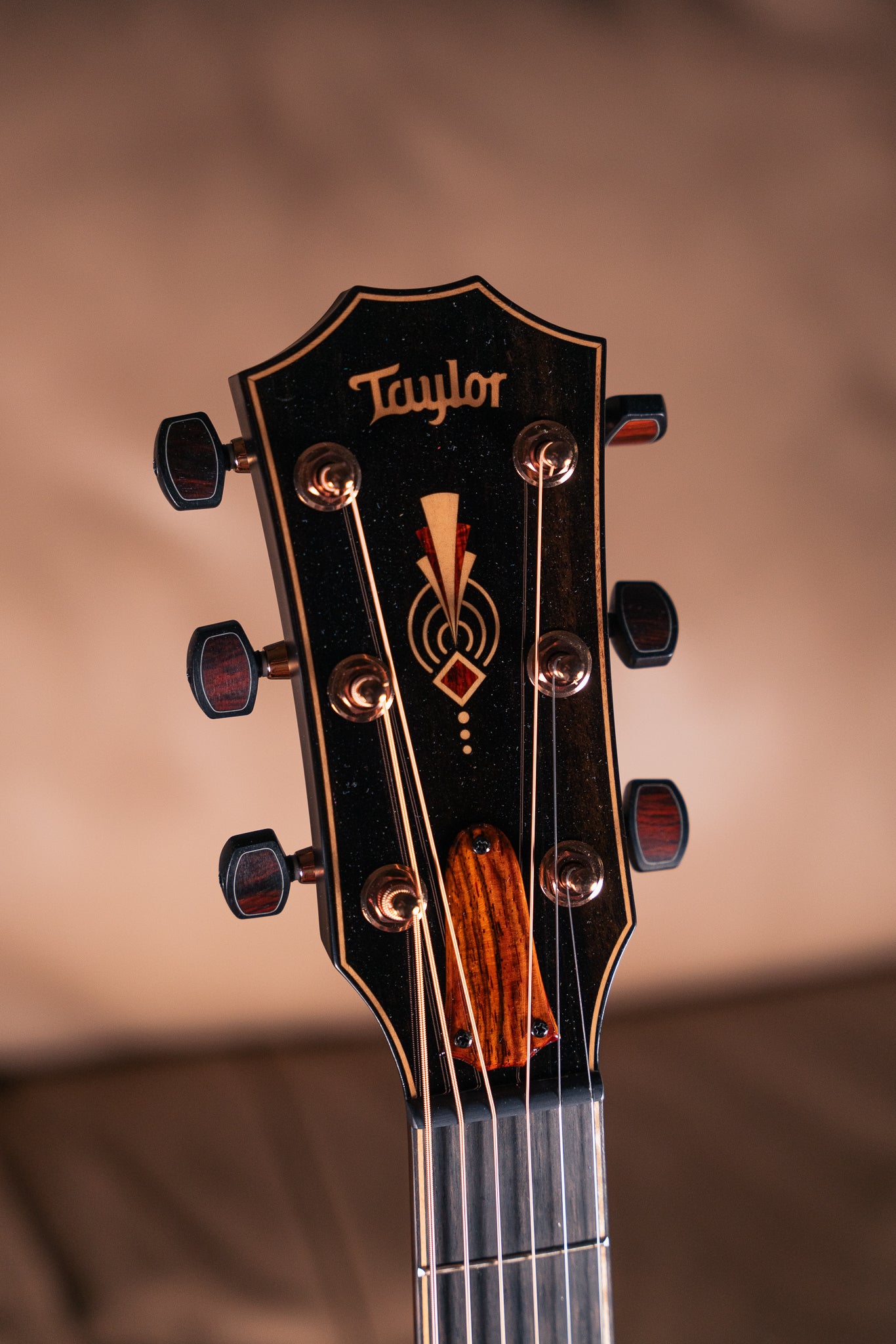 Taylor - Custom - C24ce B5013