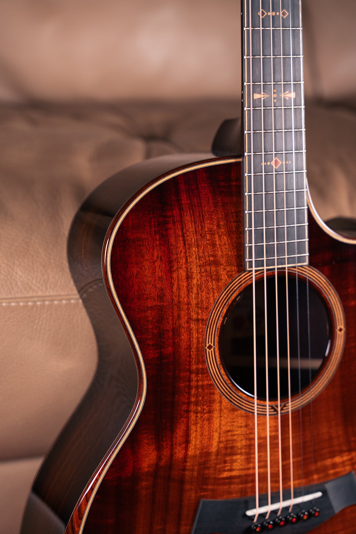 Taylor - Custom - C24ce B5013