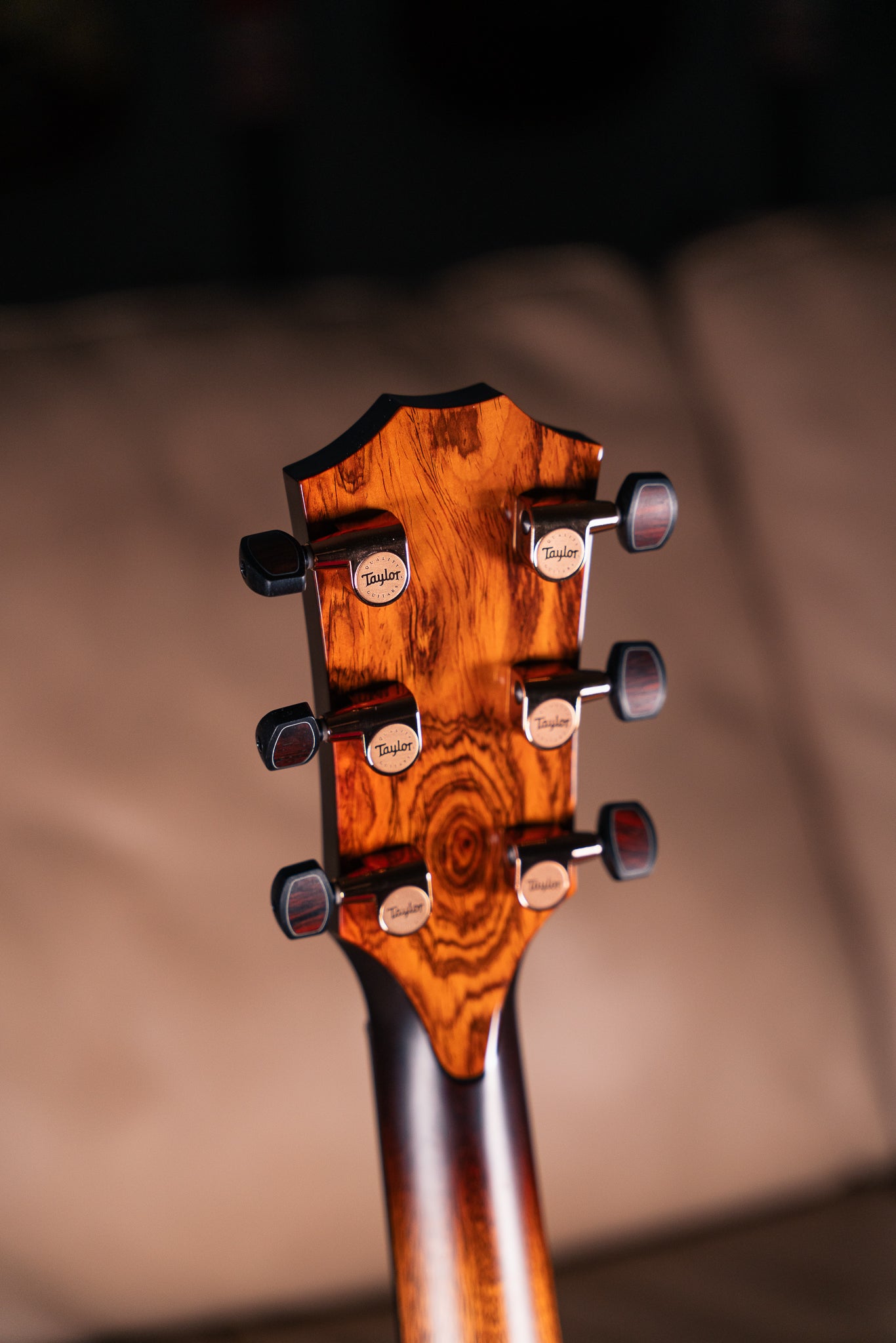 Taylor - Custom - C24ce B5013