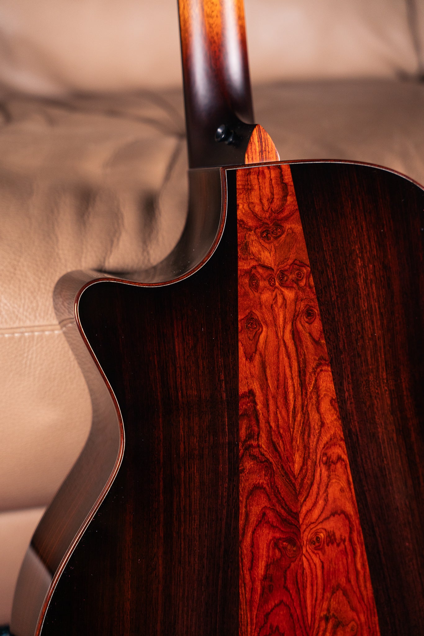 Taylor - Custom - C24ce B5013