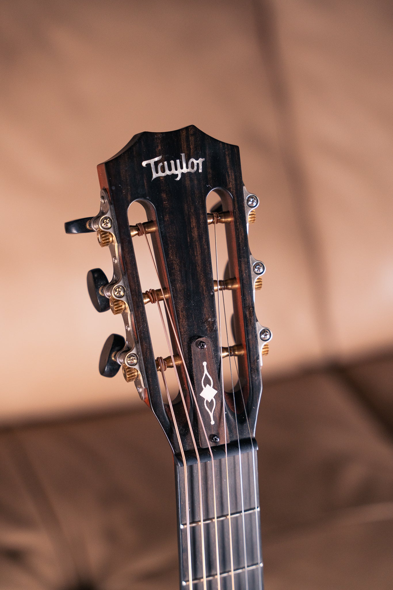 Taylor 322ce 12-Fret, Pre-Owned