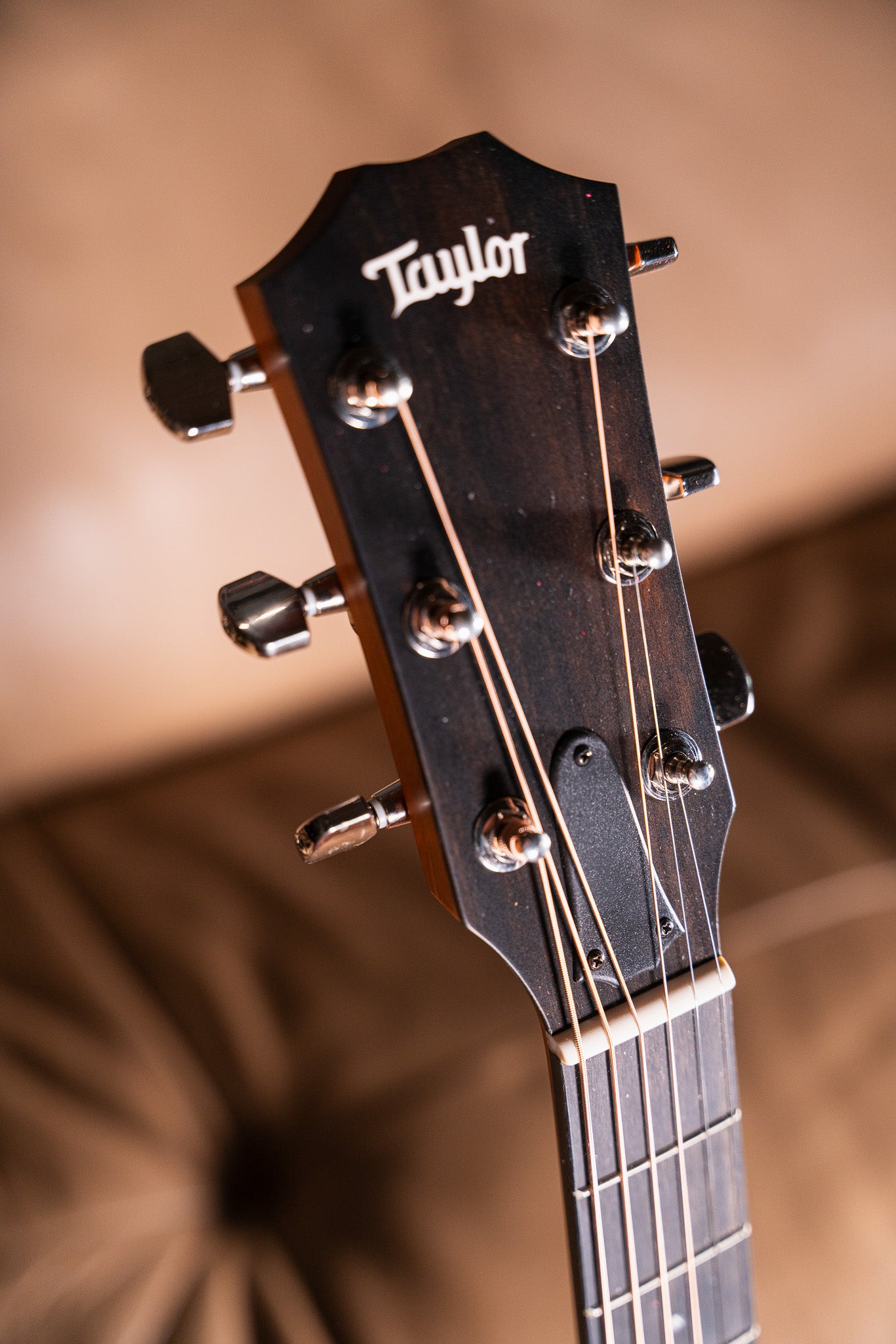 Taylor 312ce Pre-Owned w/Case
