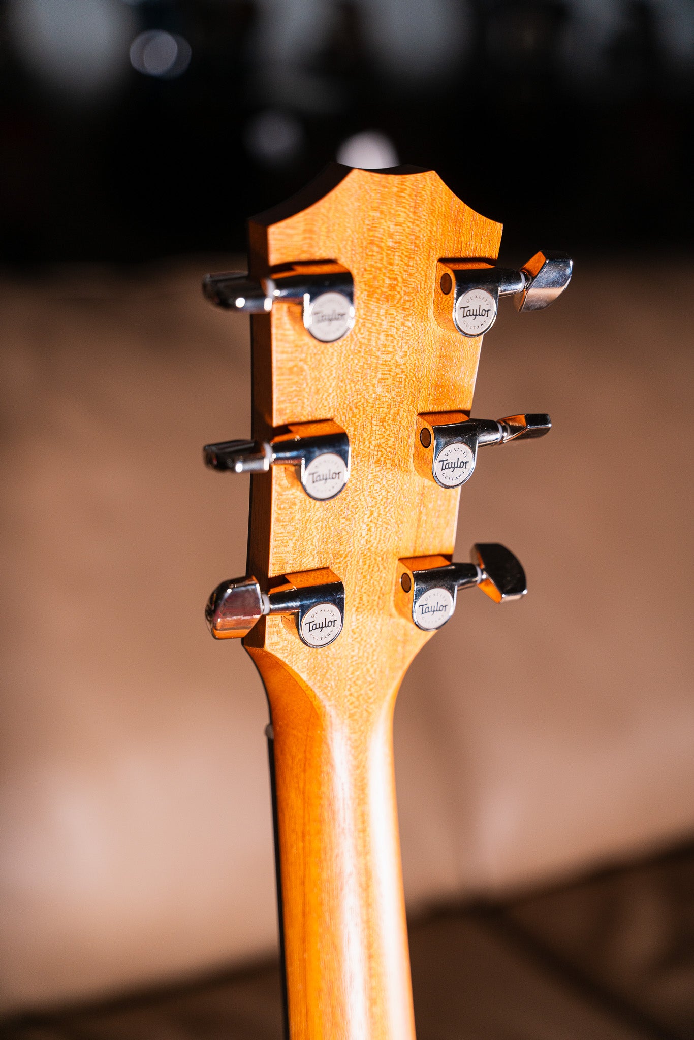 Taylor 312ce Pre-Owned w/Case