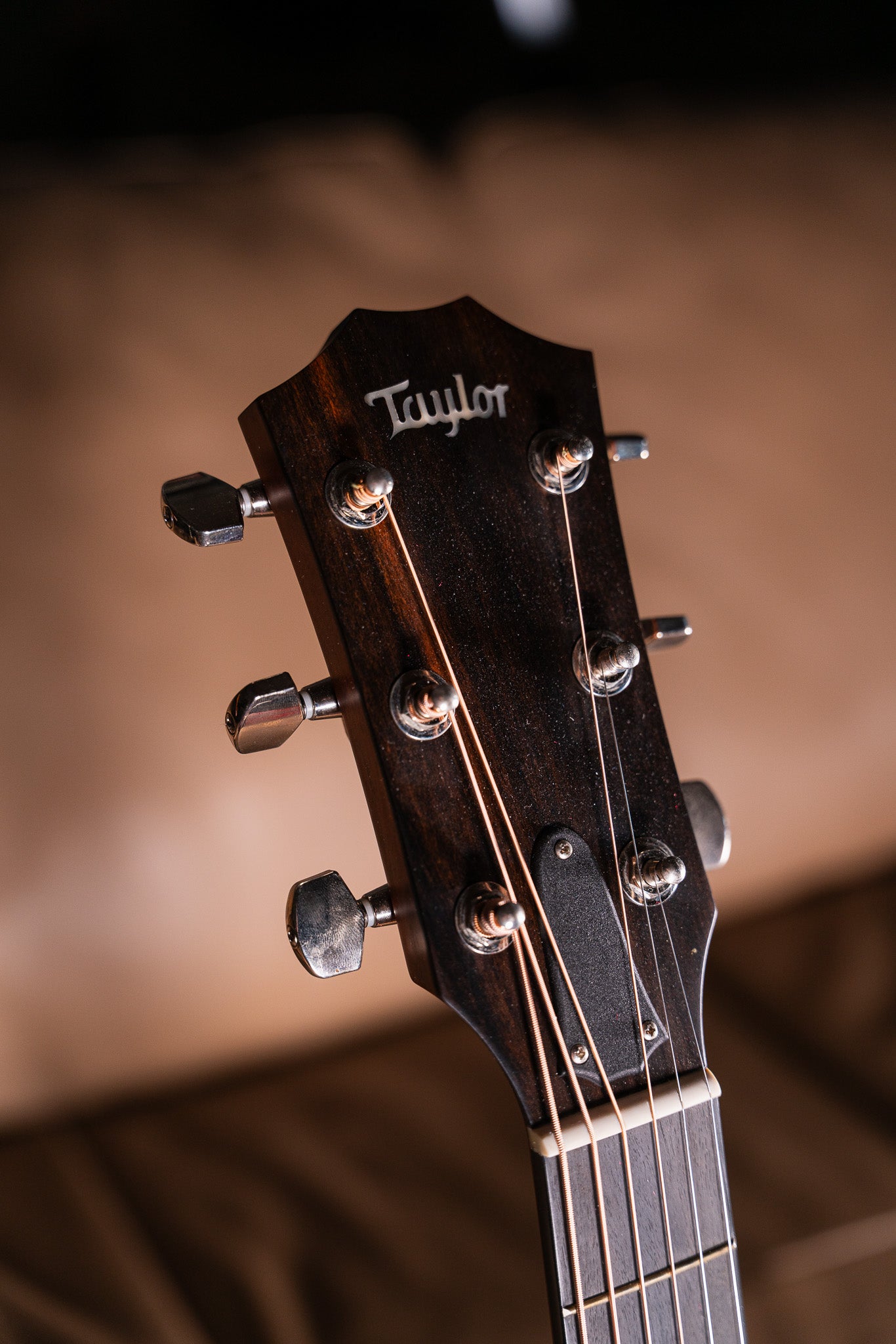 Taylor 312ce Pre-Owned
