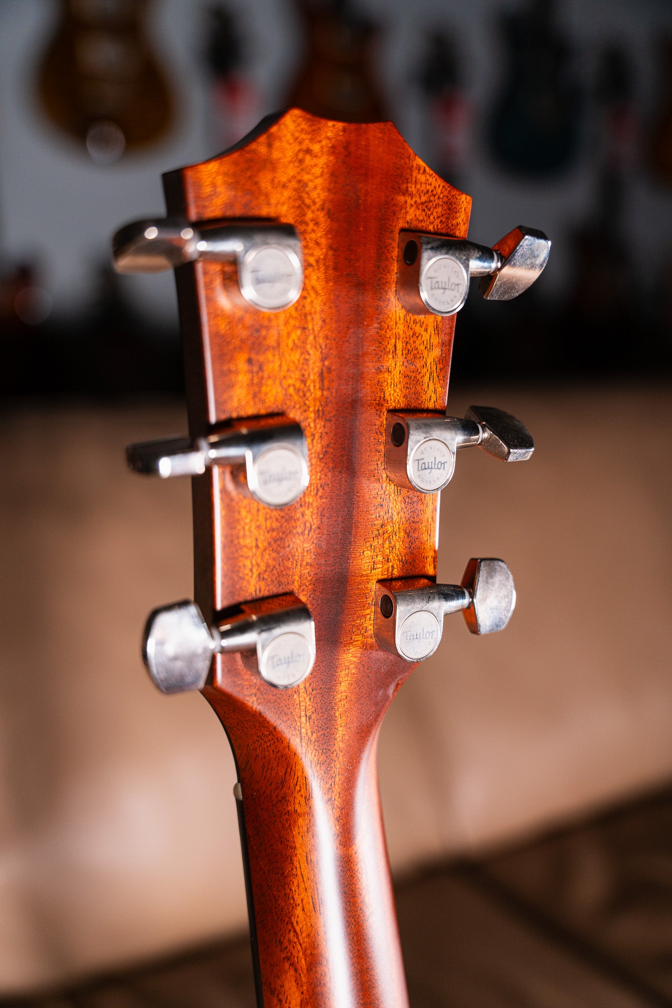 Taylor 312ce Pre-Owned