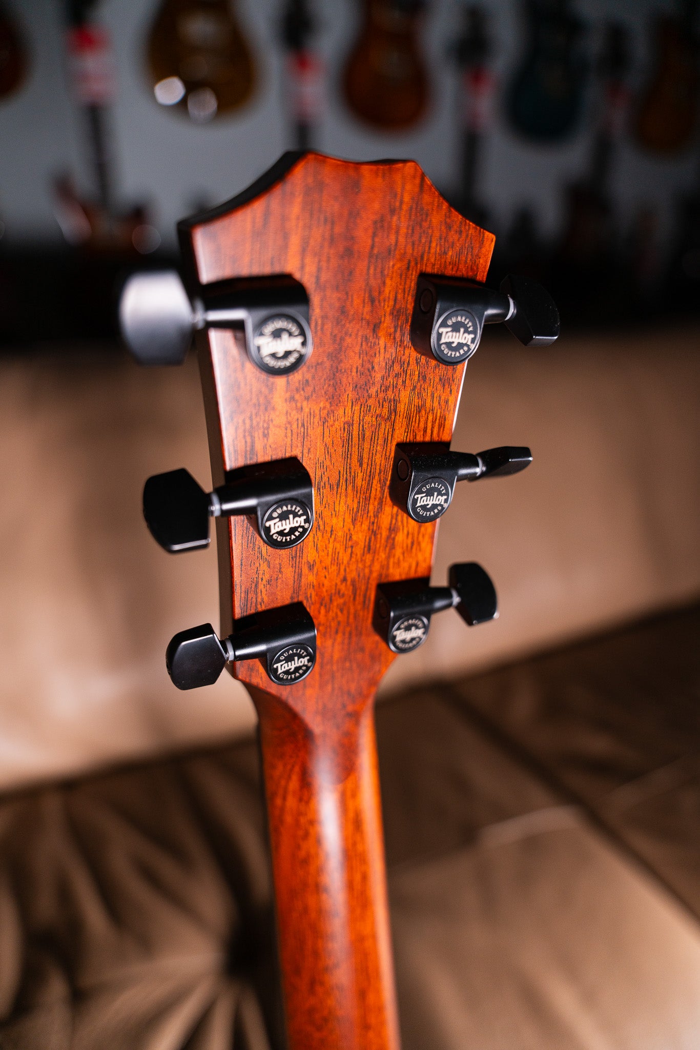 Taylor 314ce-SE Pre-Owned w/Case