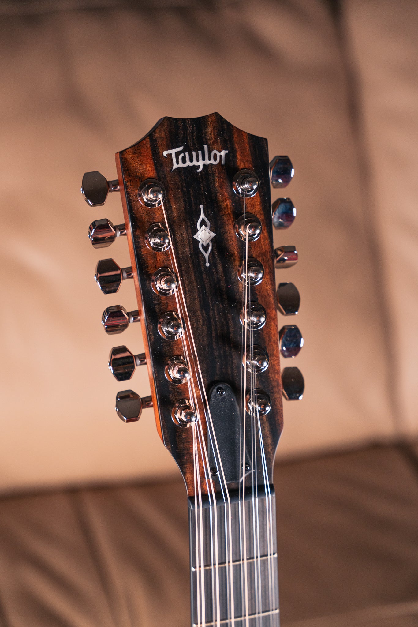 Taylor 354ce