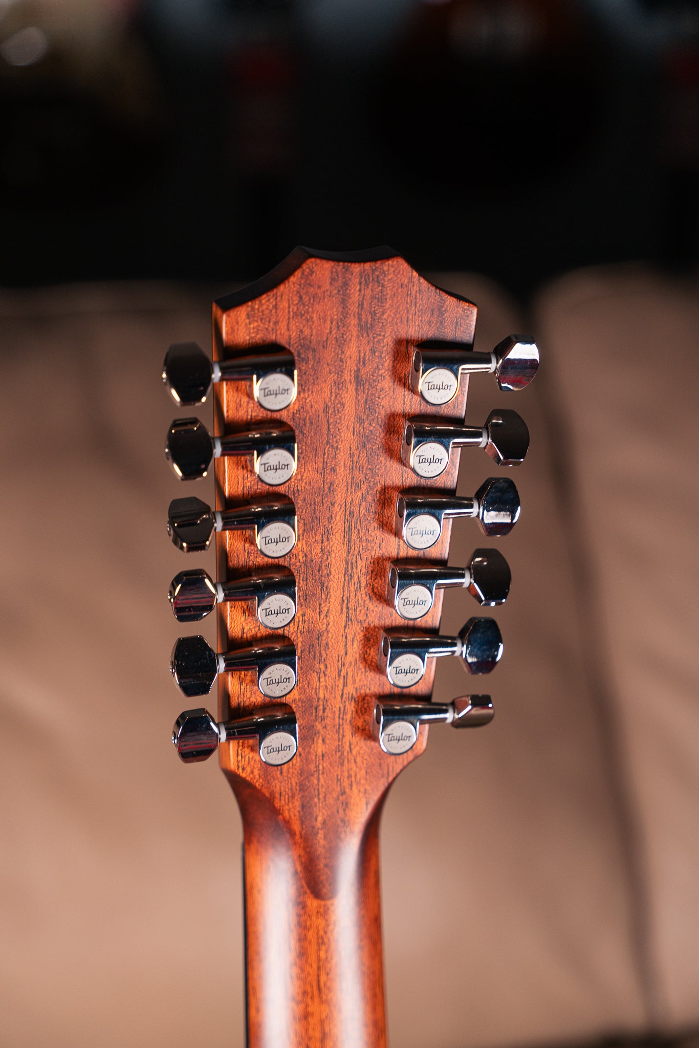 Taylor 354ce