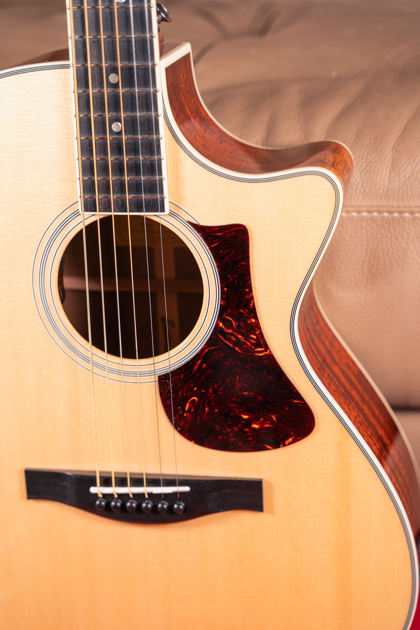 Eastman AC308CE-LTD, Pre-Owned