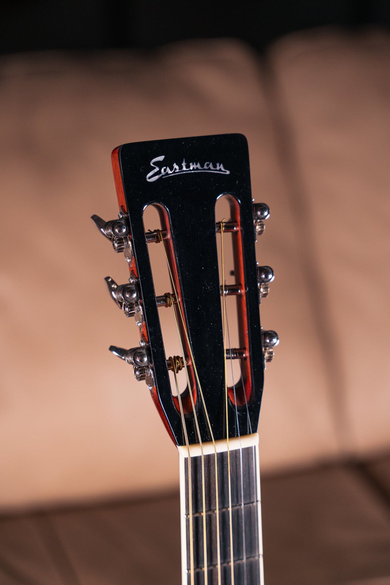 Eastman AC308CE-LTD, Pre-Owned