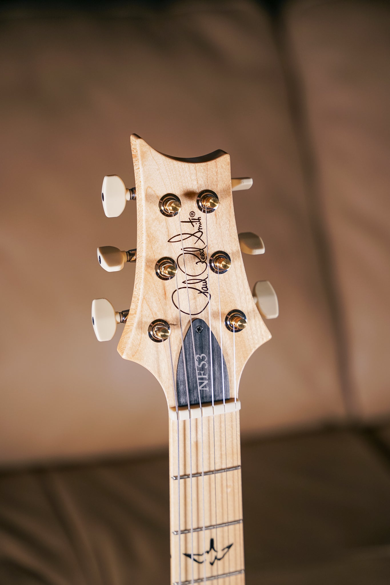 PRS NF 53 in White Doghair