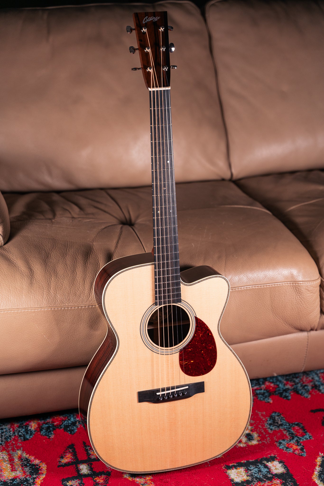 Collings OM2H Cutaway