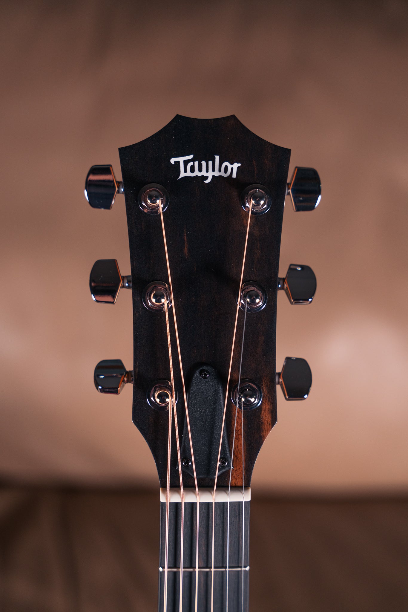 Taylor 214ce