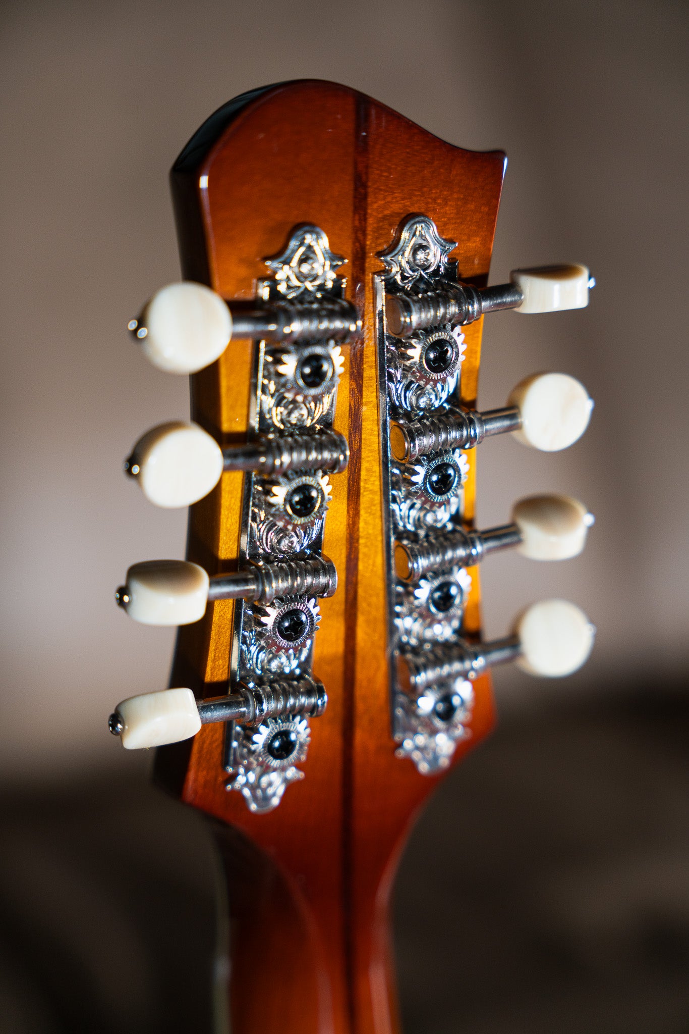 Eastman MDO605-GB in Goldburst Pre-owned