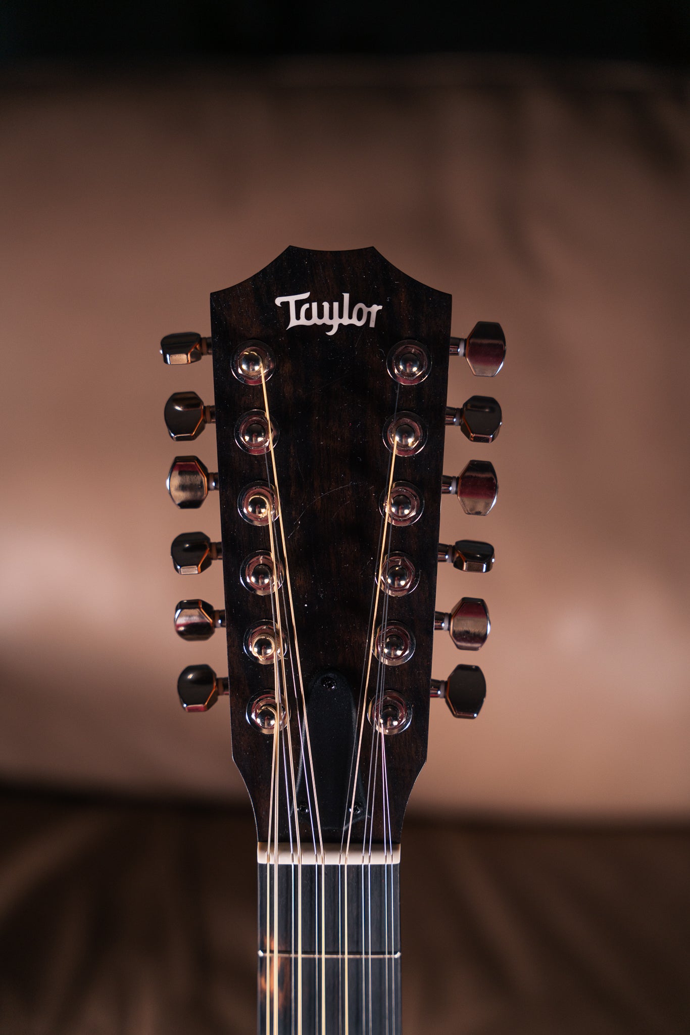 Taylor 254ce Plus