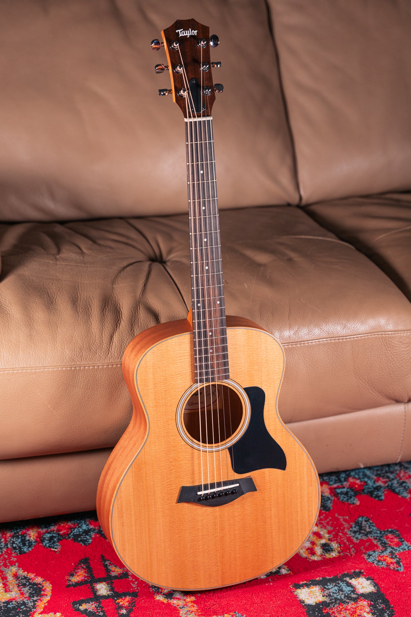 Taylor GS Mini