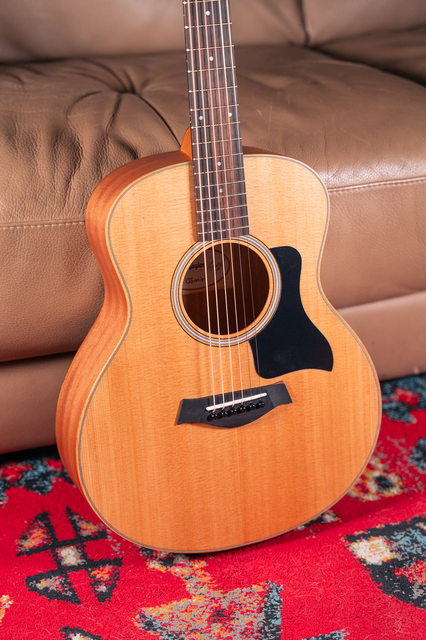 Taylor GS Mini