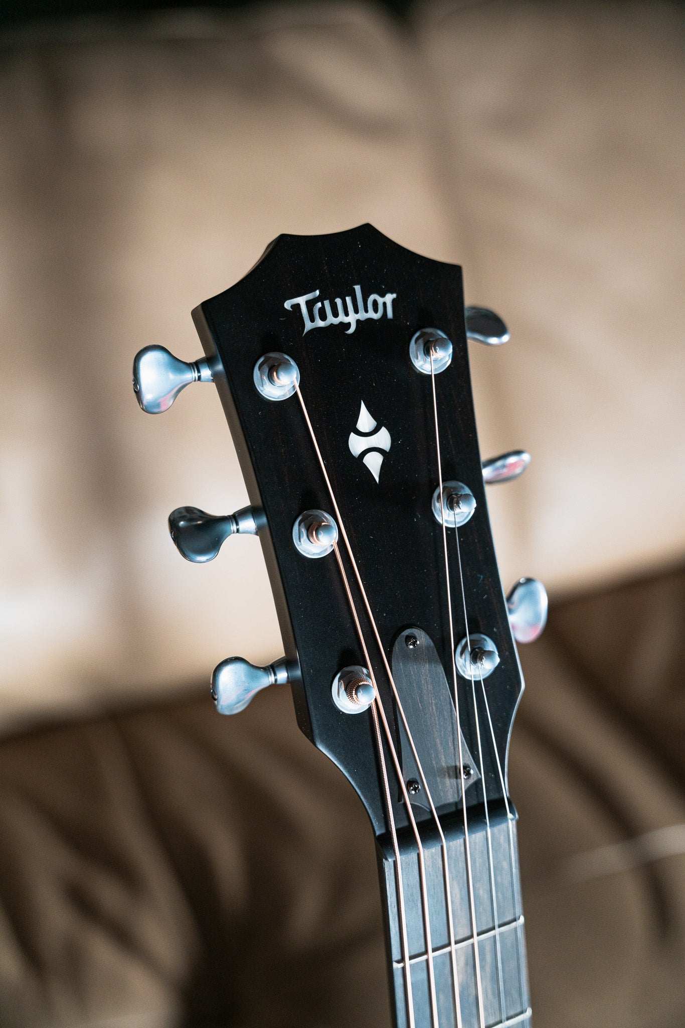 Taylor Next Generation Builder's Edition 514ce Kona Burst