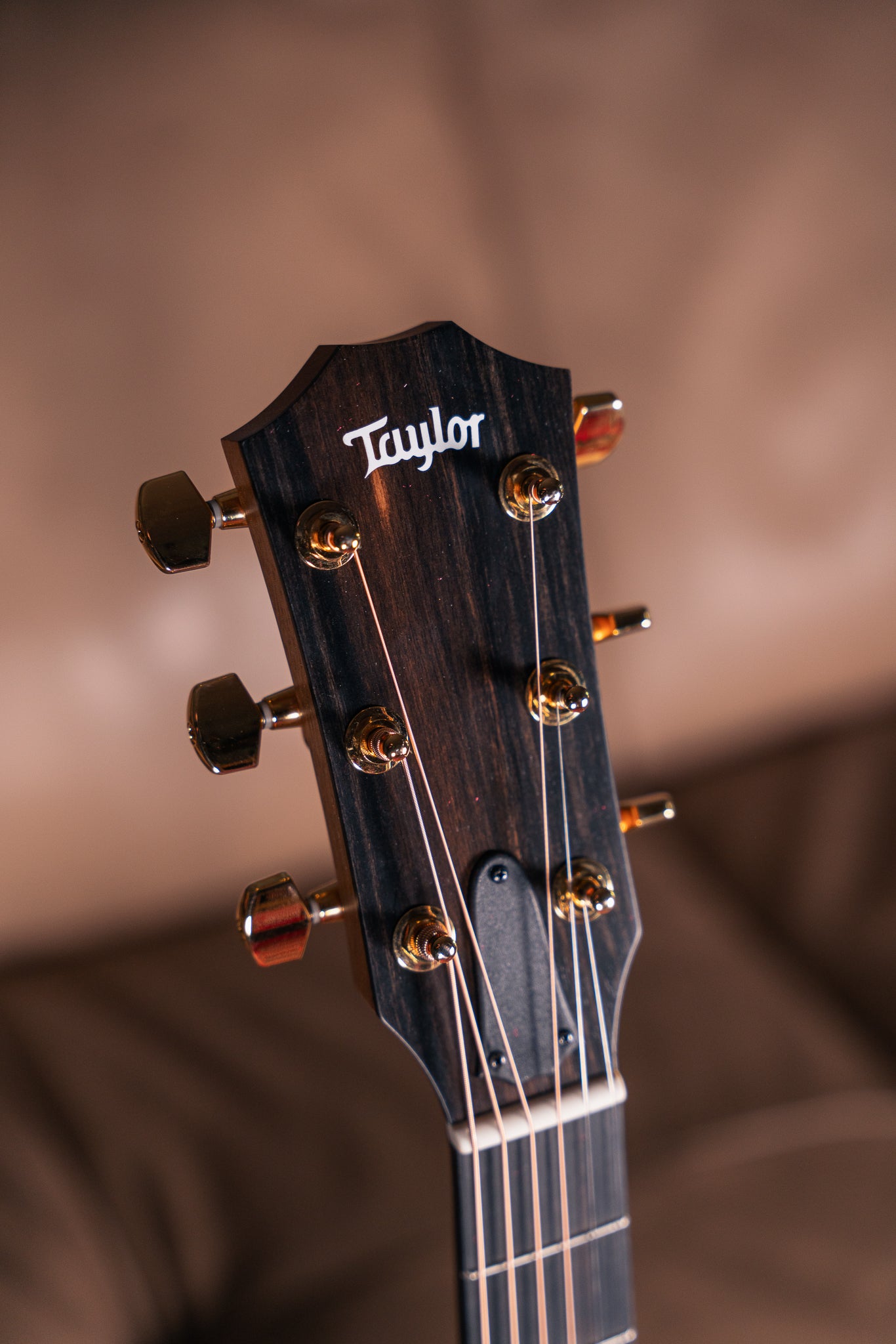 Taylor 224ce-K DLX