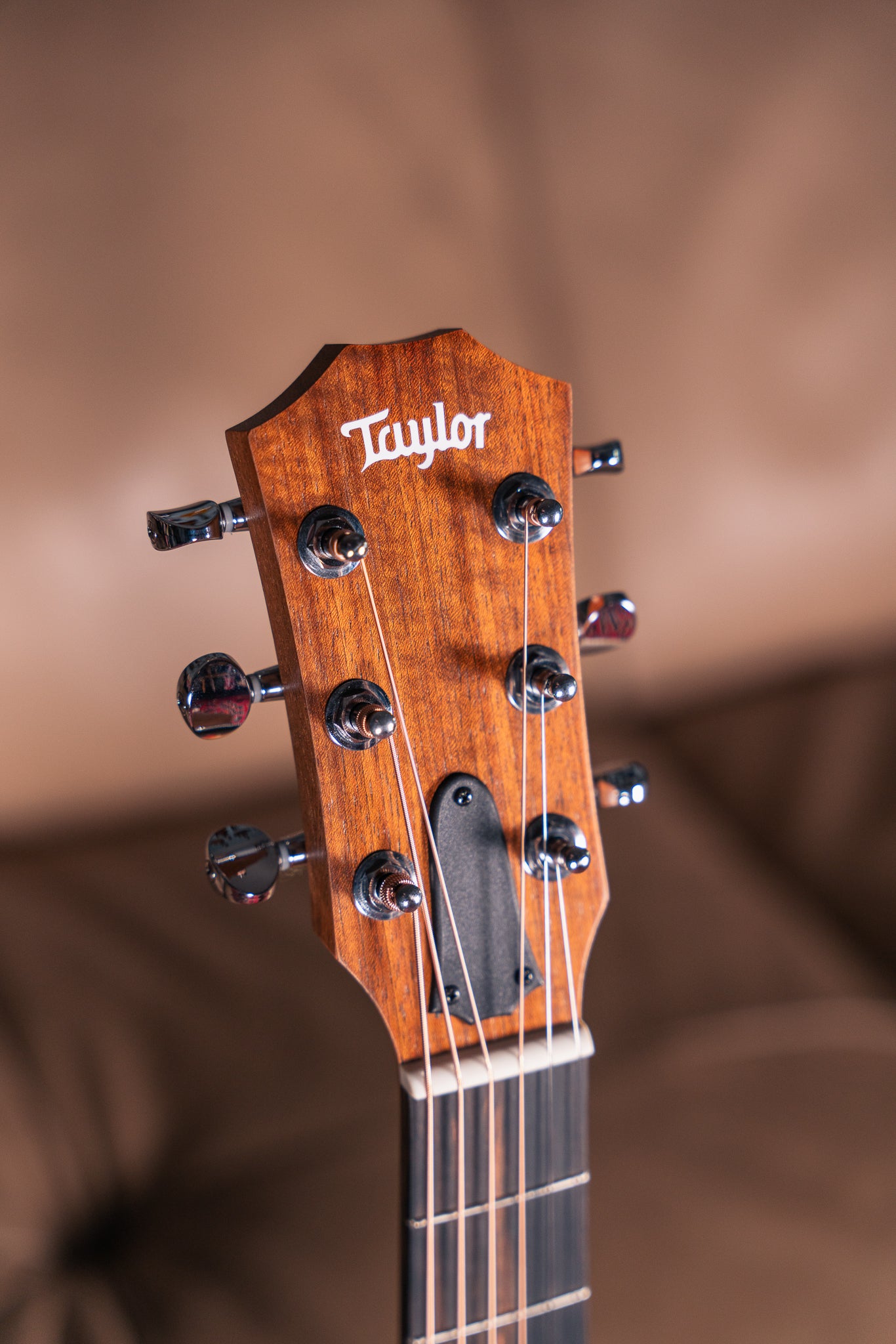 Taylor GS Mini-e Special Edition in Sunset Fade