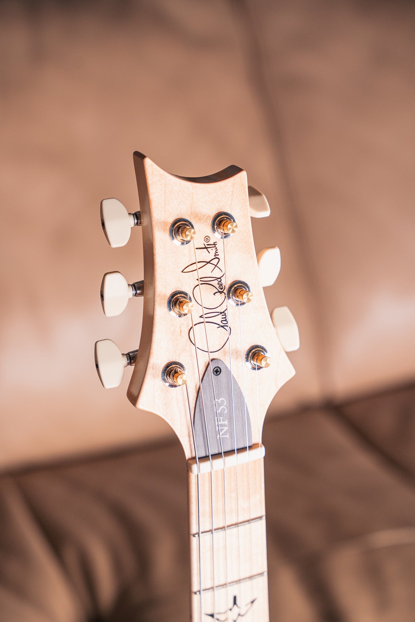 PRS NF 53 in White Doghair