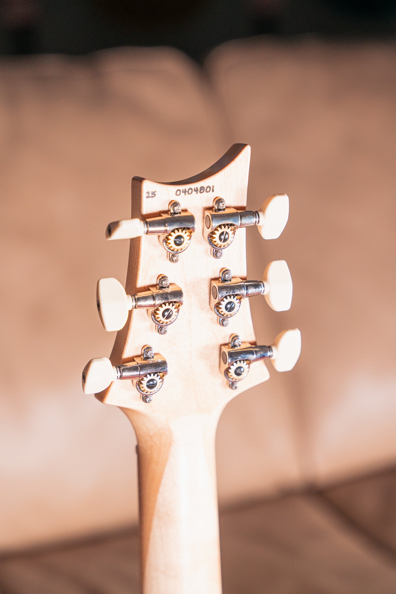 PRS NF 53 in White Doghair