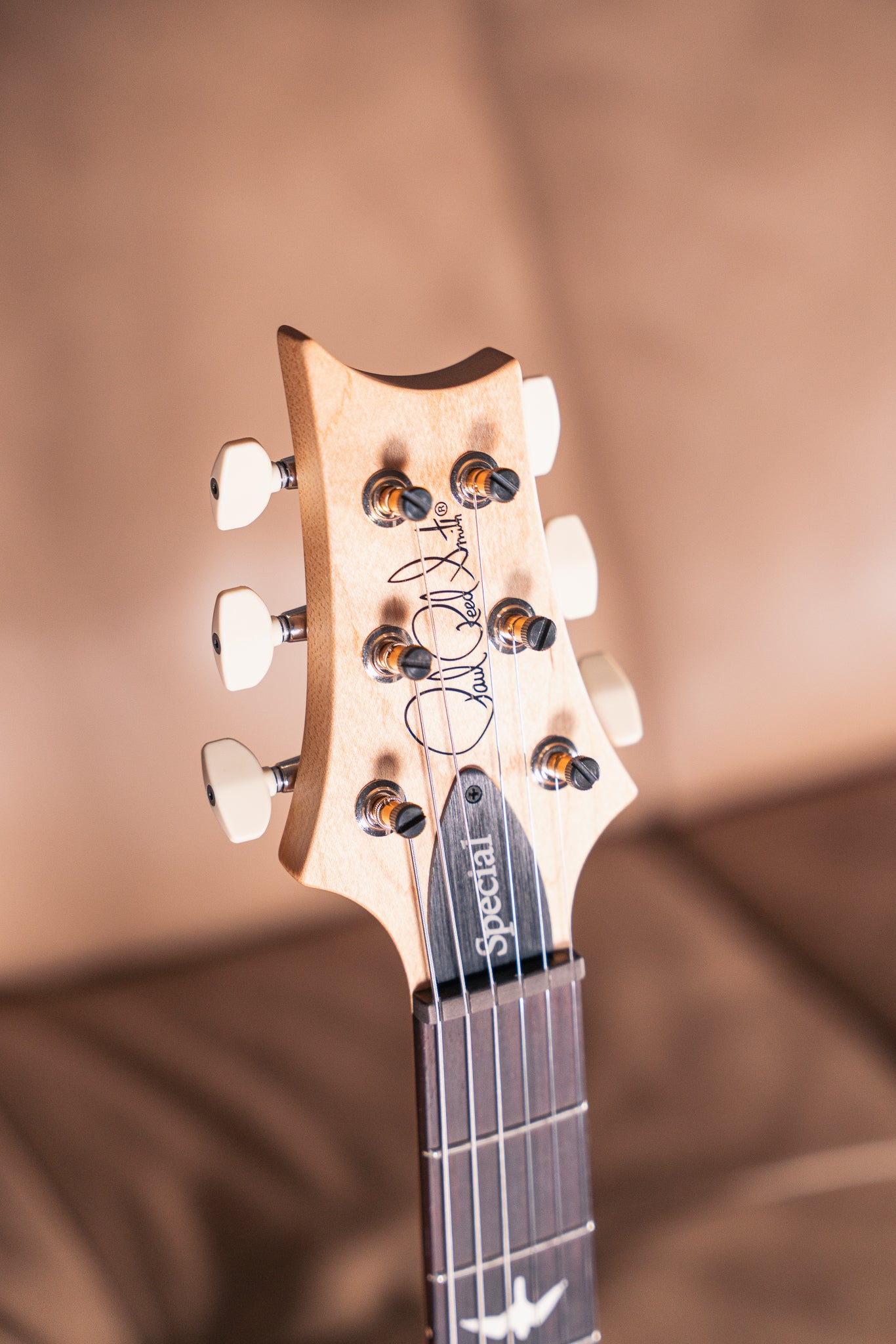 PRS CE 24 Special LTD in Carroll Blue