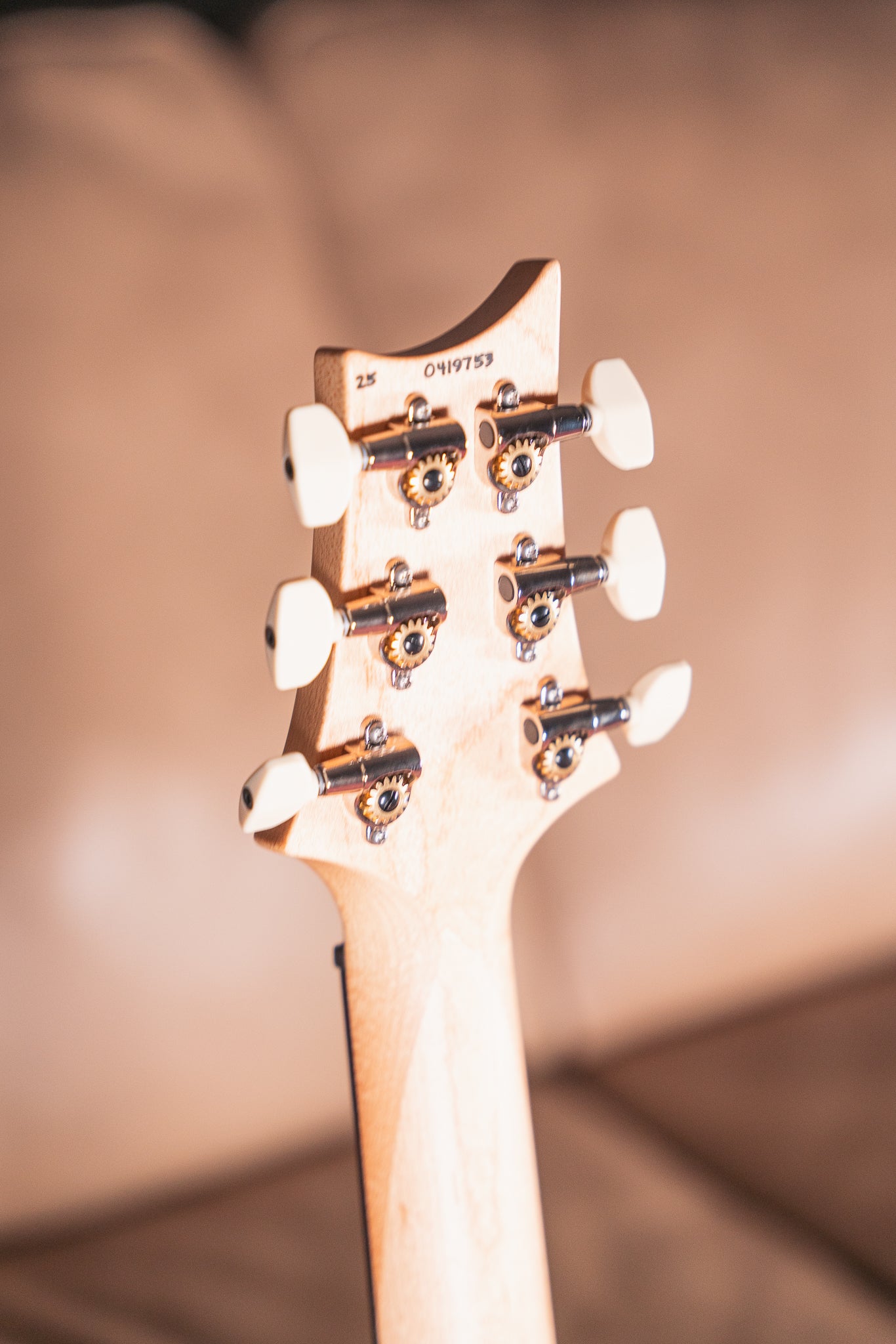 PRS CE 24 Special LTD in Carroll Blue