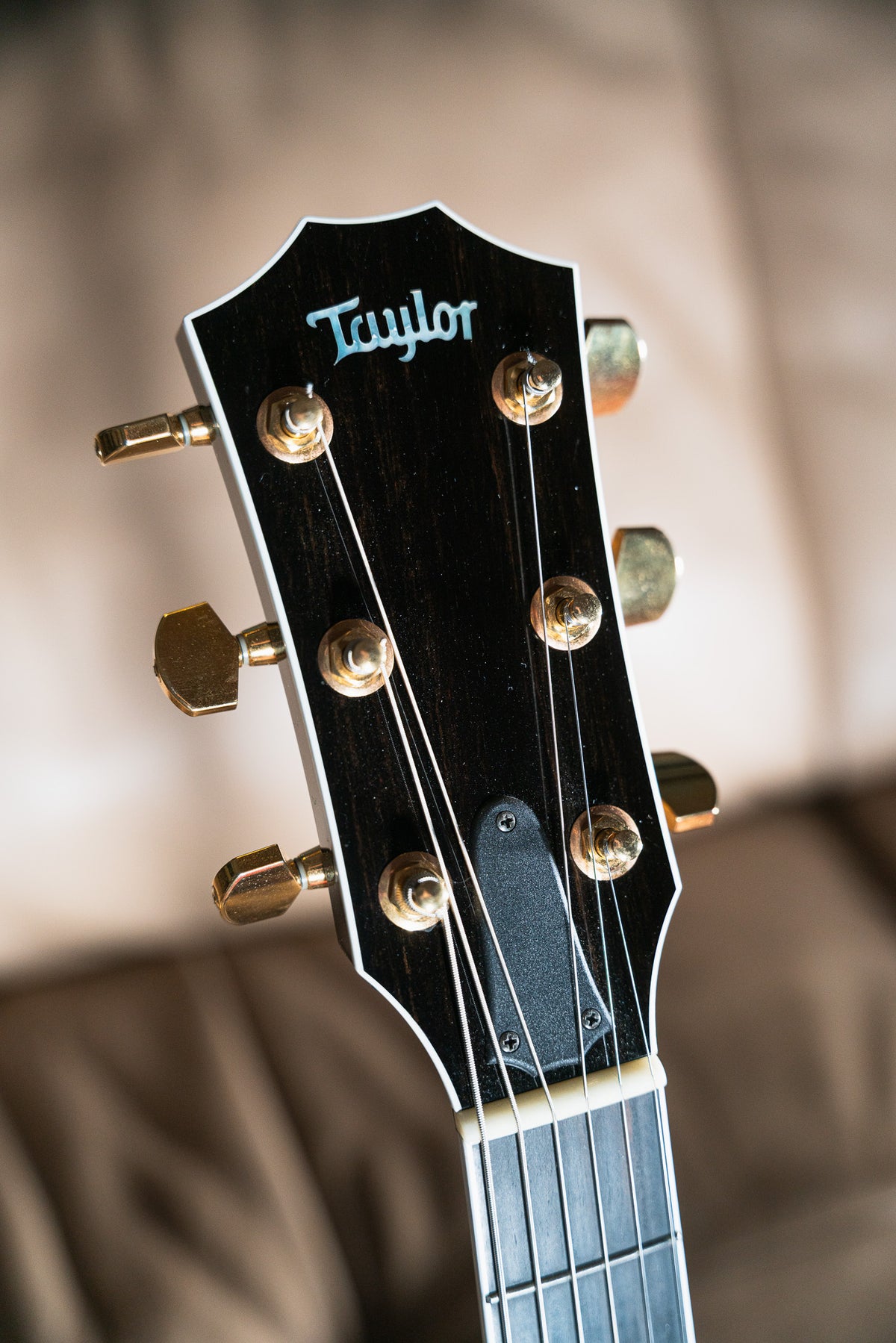 Taylor T5-C1 Pre-Owned