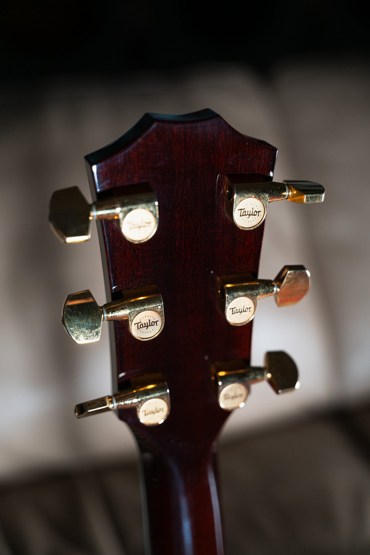 Taylor T5-C1 Pre-Owned
