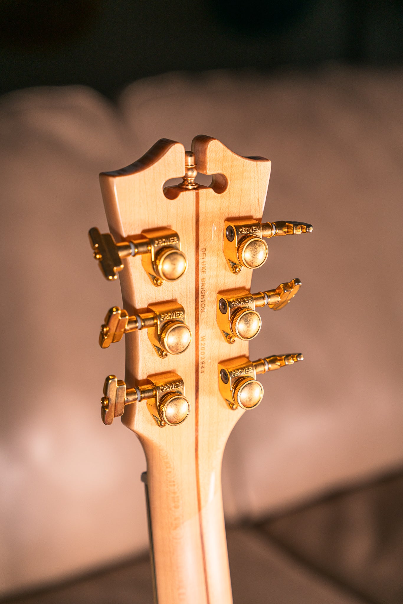 D'Angelico Deluxe Brighton in Hunter Green, Pre-Owned