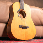 Taylor Baby "Liberty Tree" LTD