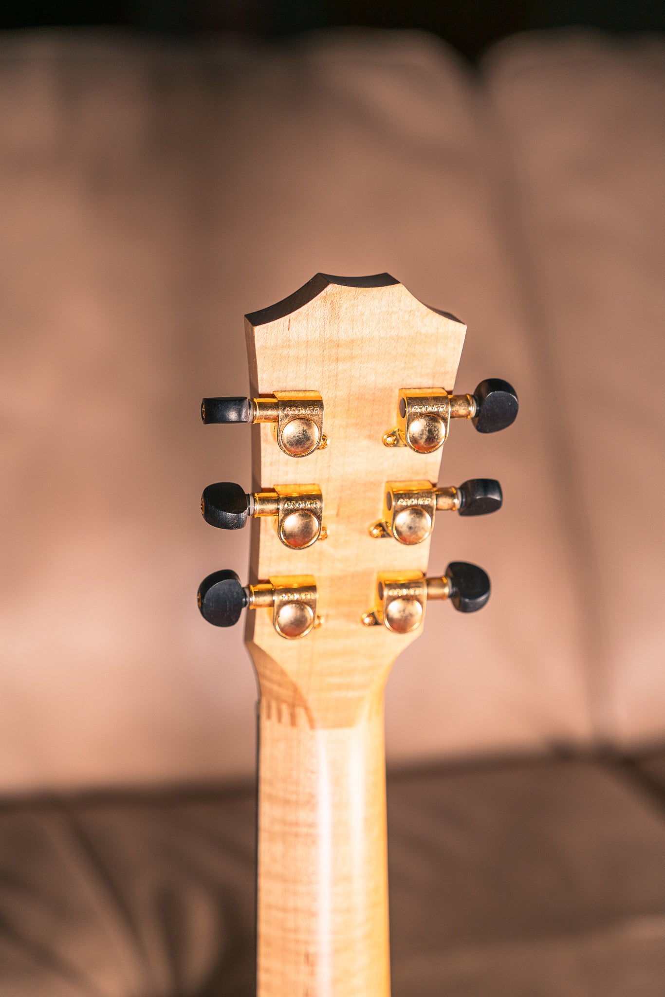 Taylor Baby "Liberty Tree" LTD