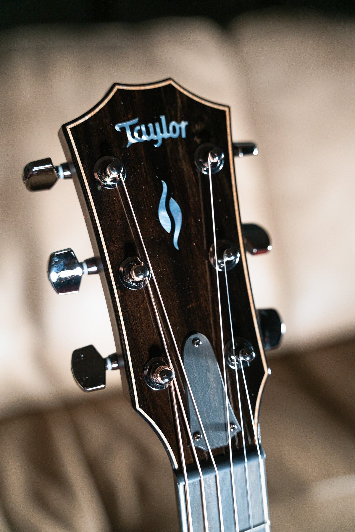 Taylor Next Generation 814ce LTD Casablanca Beige Metallic