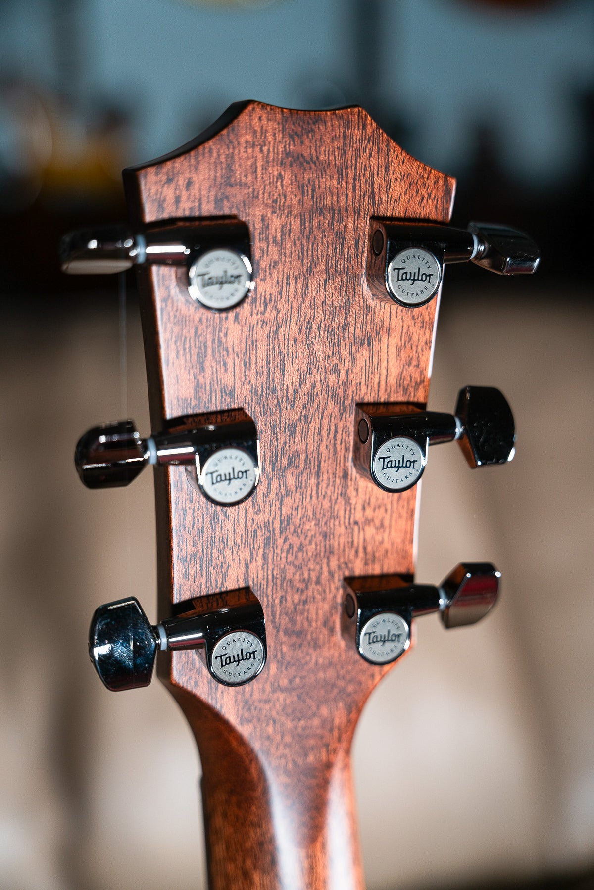 Taylor Next Generation 814ce LTD Casablanca Beige Metallic
