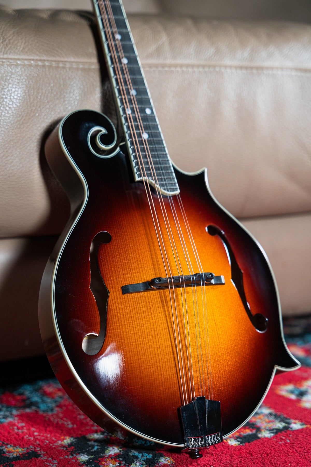 Eastman MD515/TV-WN-SB