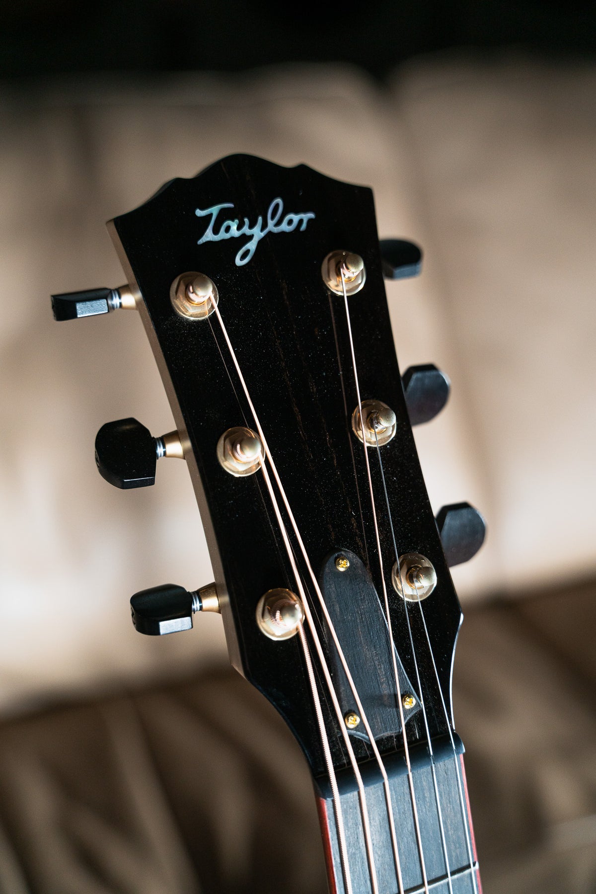 Taylor Custom Gold Label SA C14ce