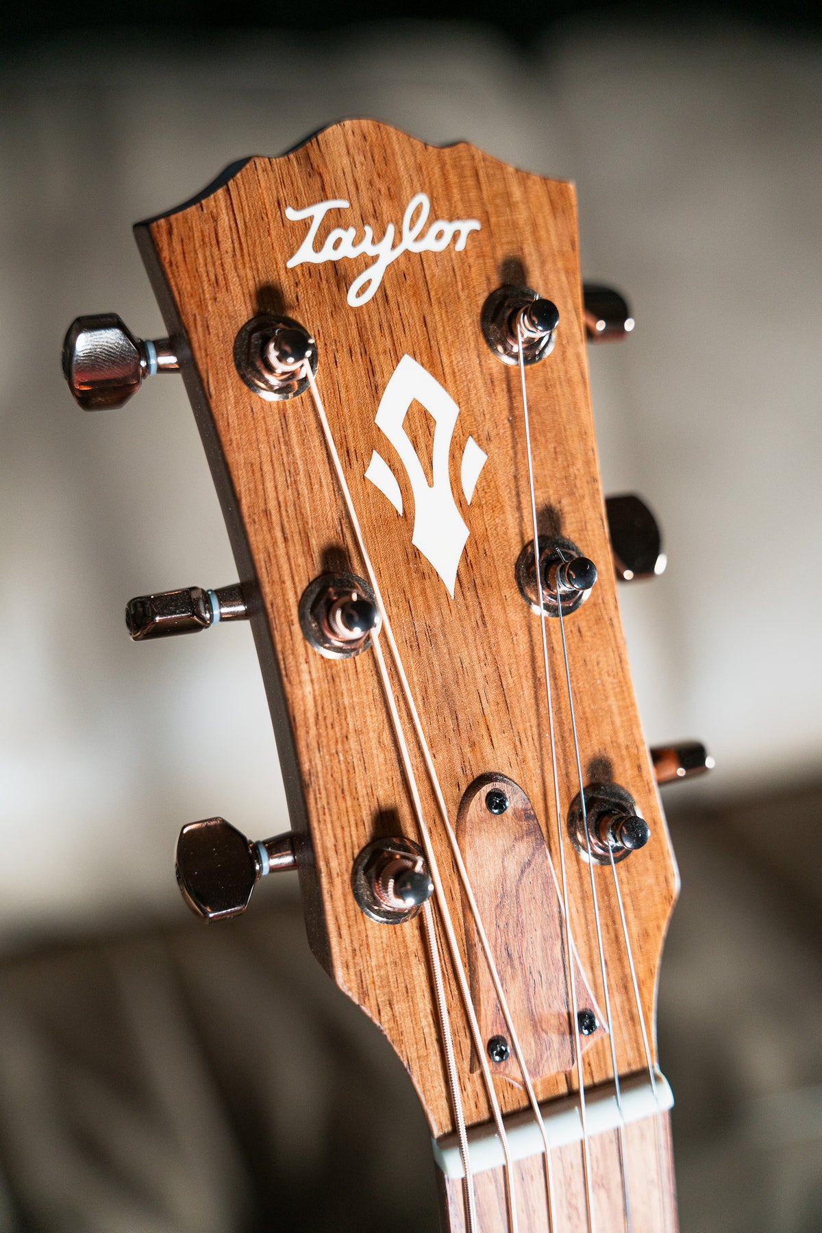 Taylor Ben Harper Gold Label 512e SE Grand Concert