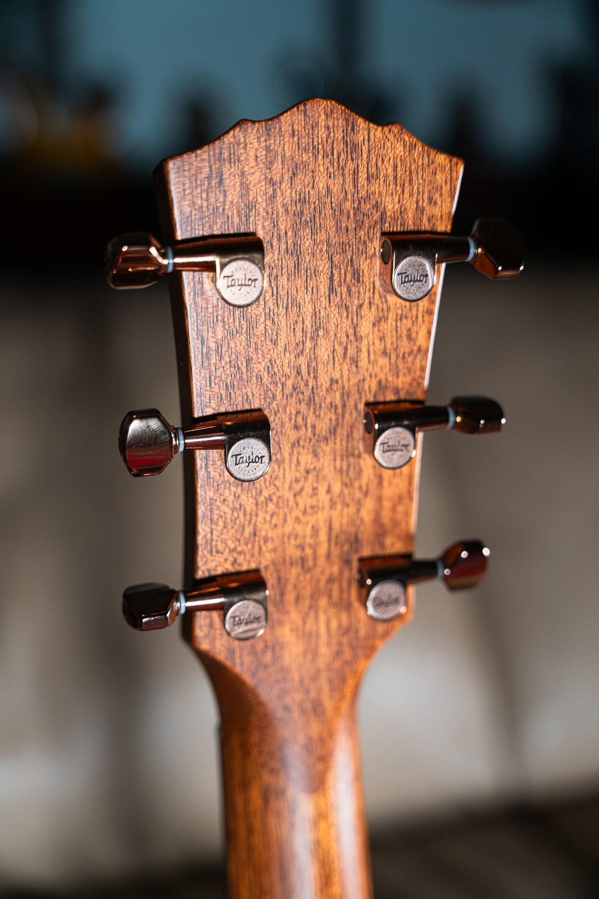 Taylor Ben Harper Gold Label 512e SE Grand Concert
