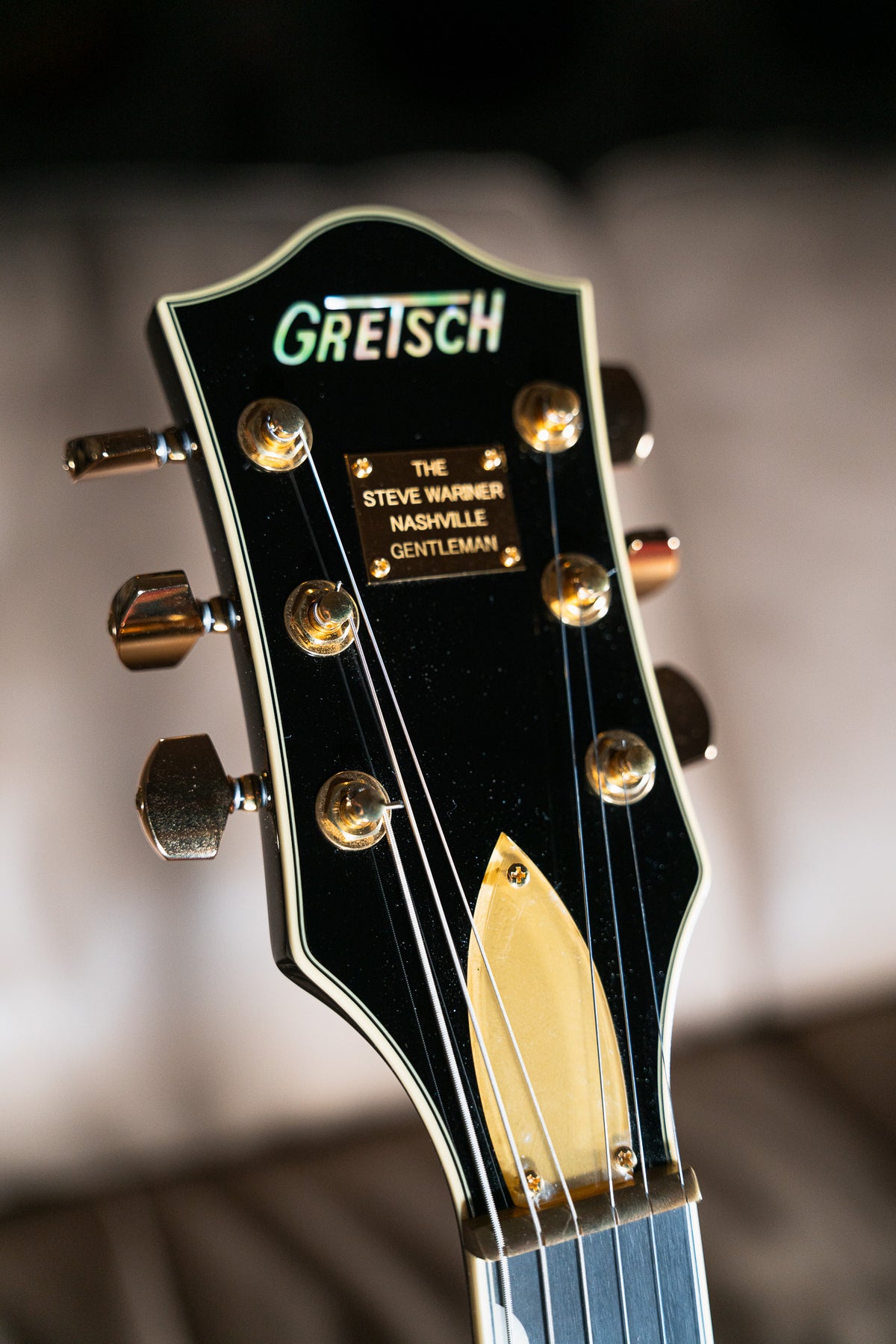 Gretsch G6120T-SW Steve Wariner Signature Nashville Gentleman Pre-Owned