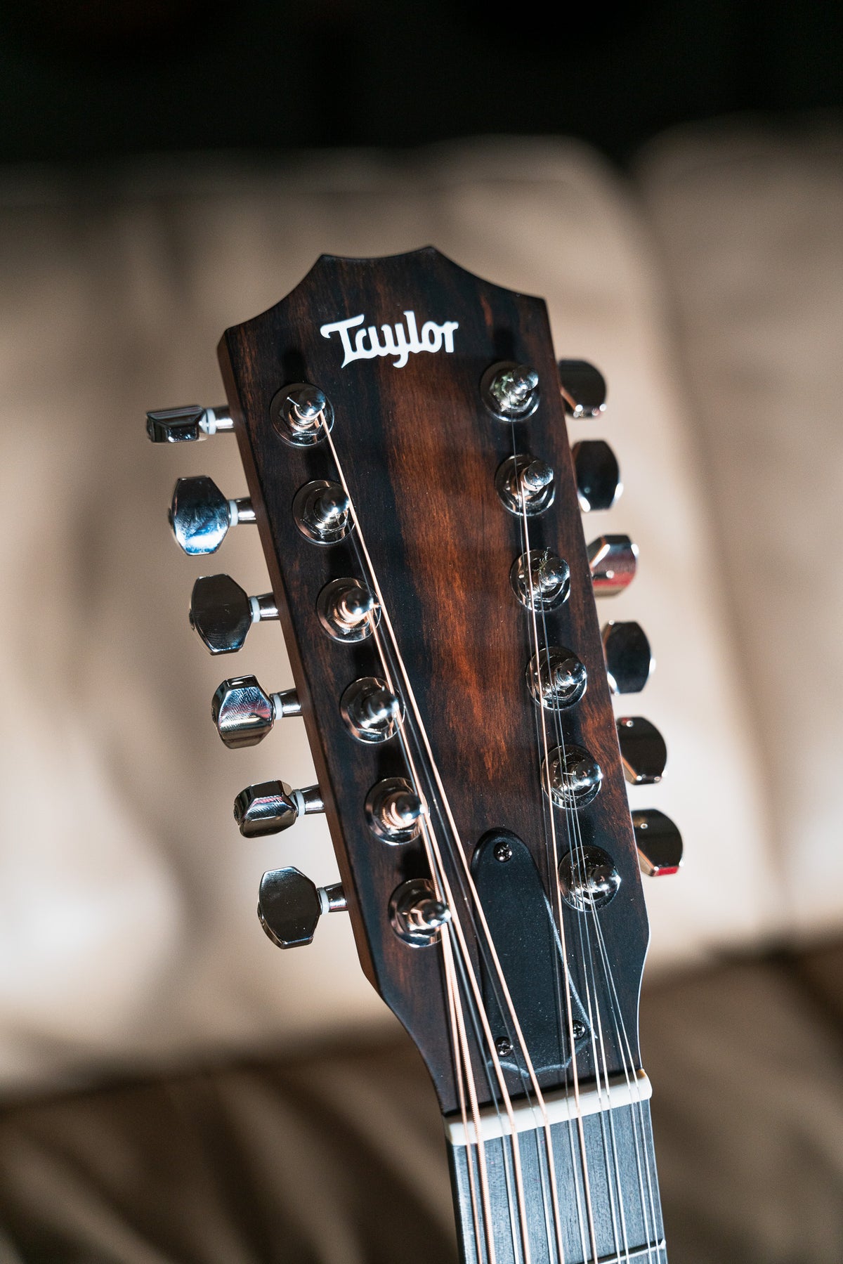 Taylor 354ce Studio Special Edition Honey Burst 12 String