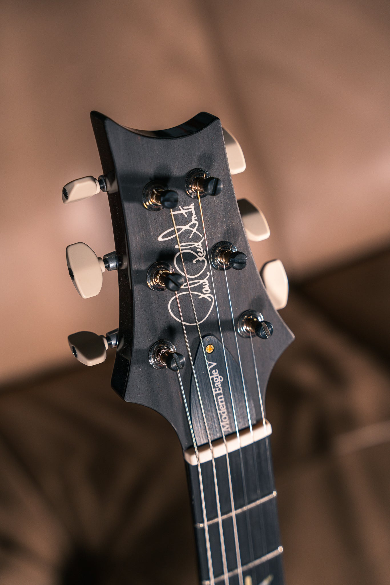 PRS Wood Library Modern Eagle V 10-Top in Charcoal Purple Wrap Burst