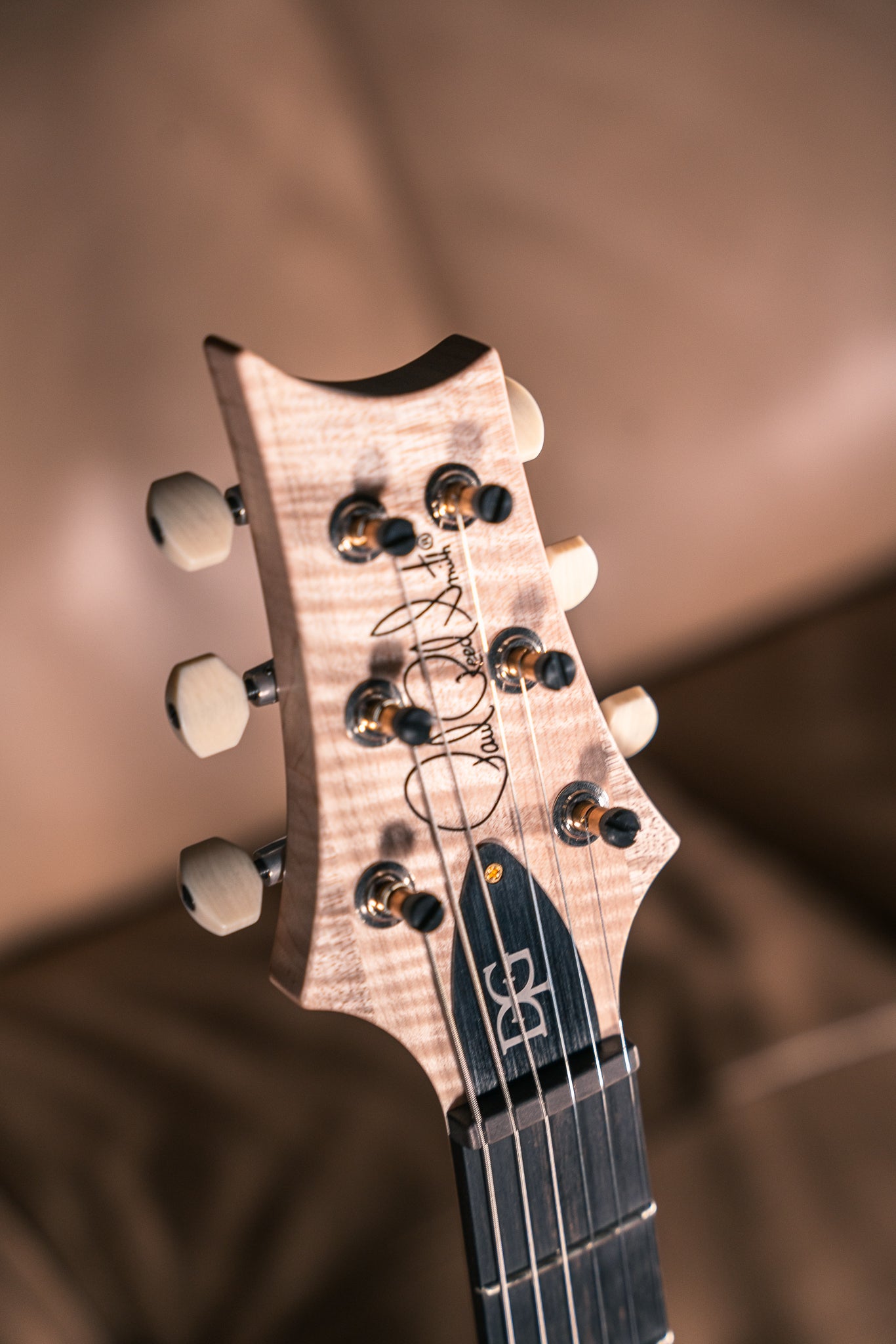 PRS Wood Library DGT 10 Top in Satin Purple Charcoal Wrap Burst