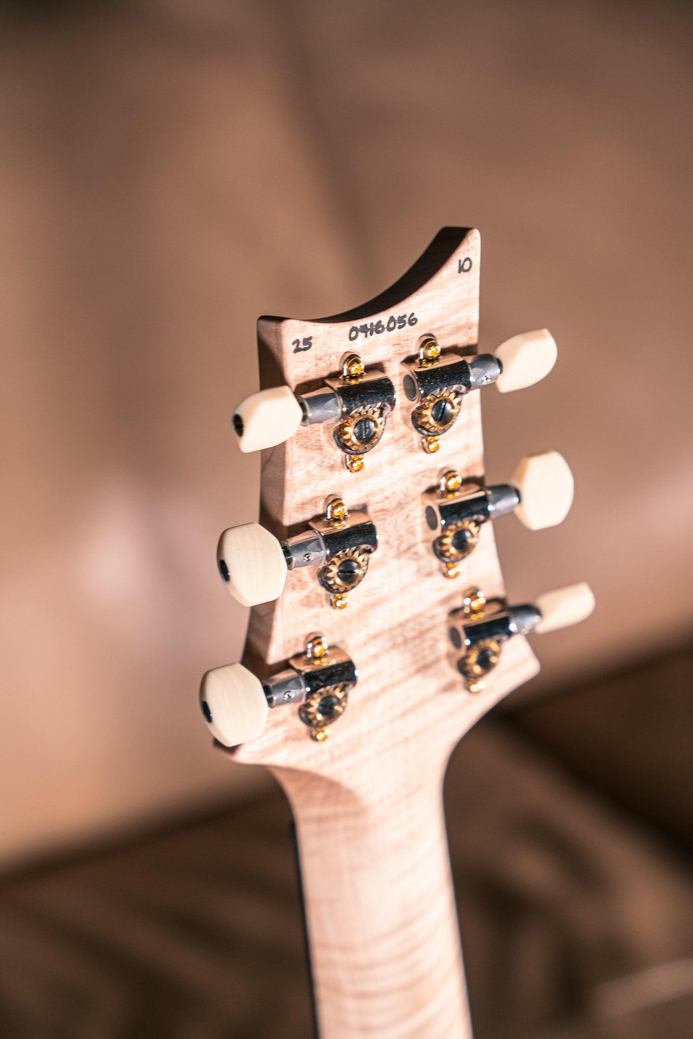 PRS Wood Library DGT 10 Top in Satin Purple Charcoal Wrap Burst