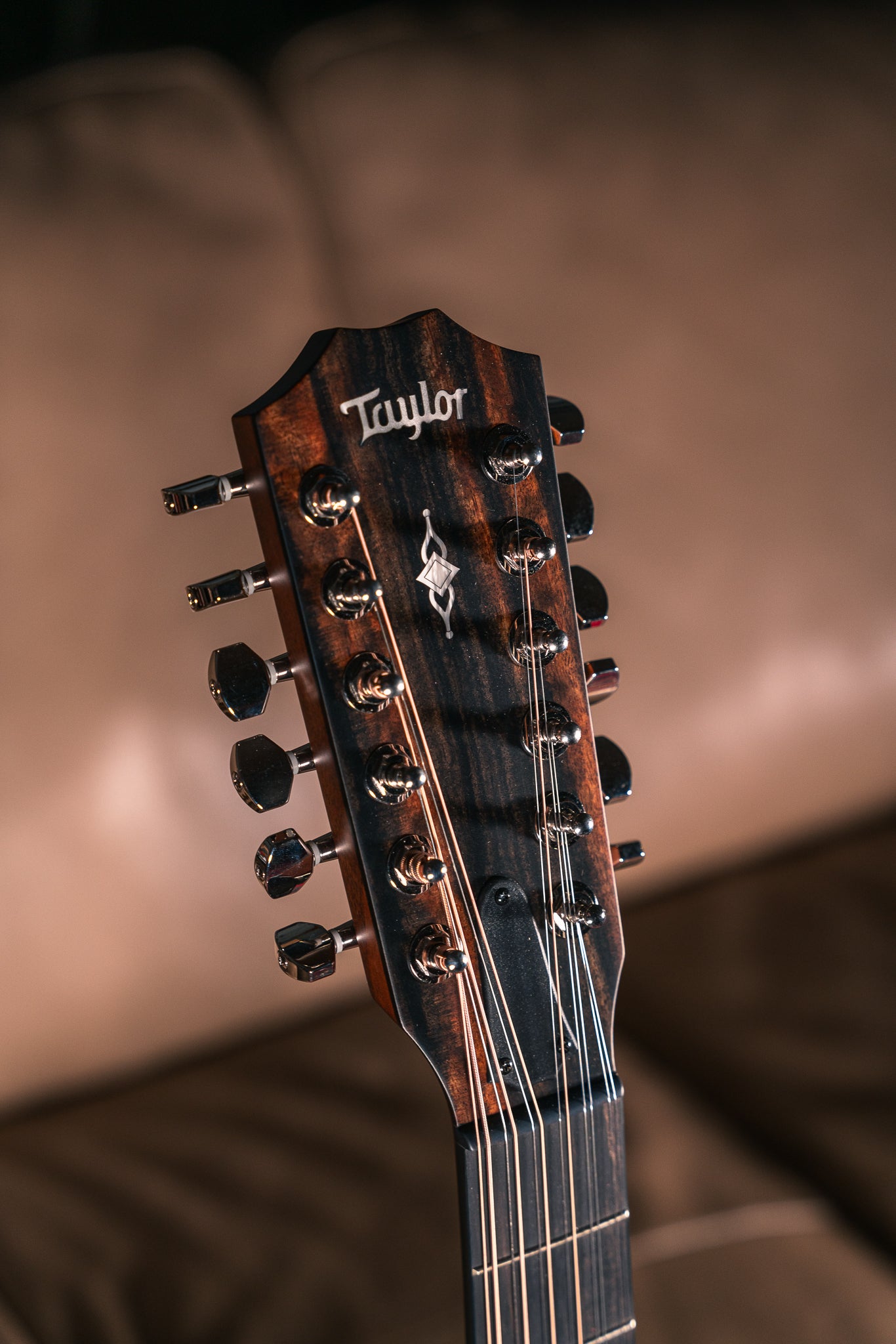 Taylor 354ce 12-String