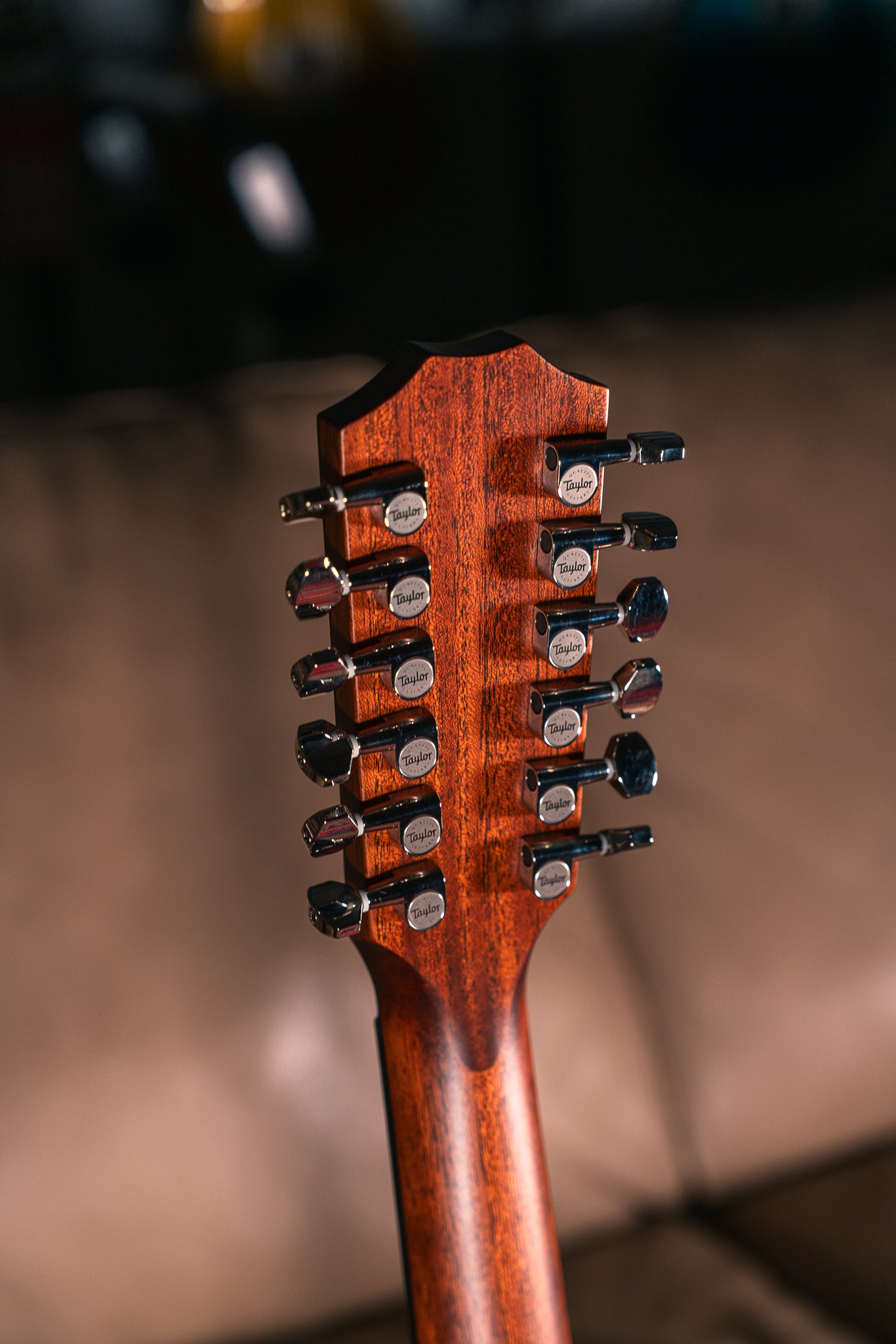 Taylor 354ce 12-String