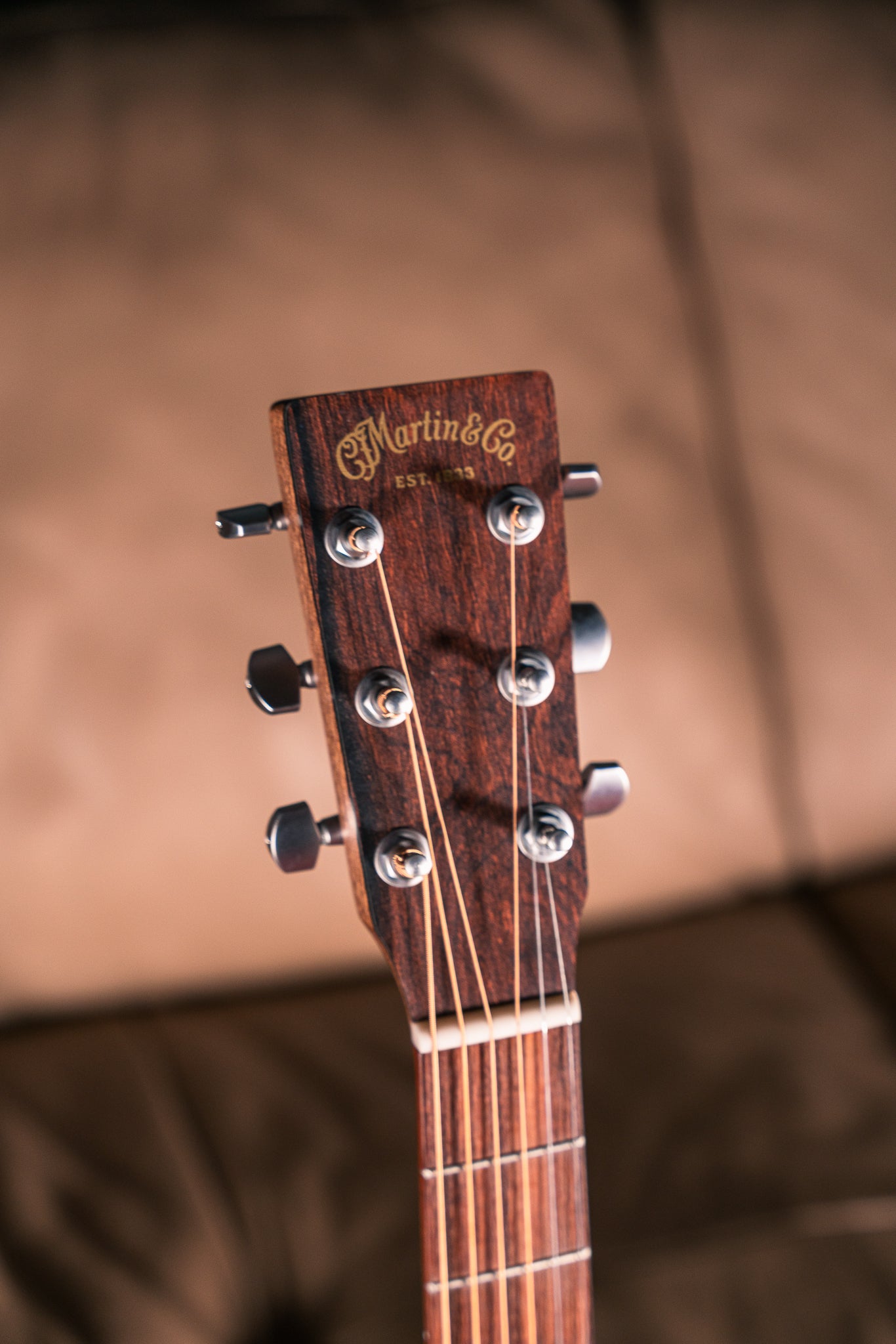 Martin GPC-X2E Cocobolo