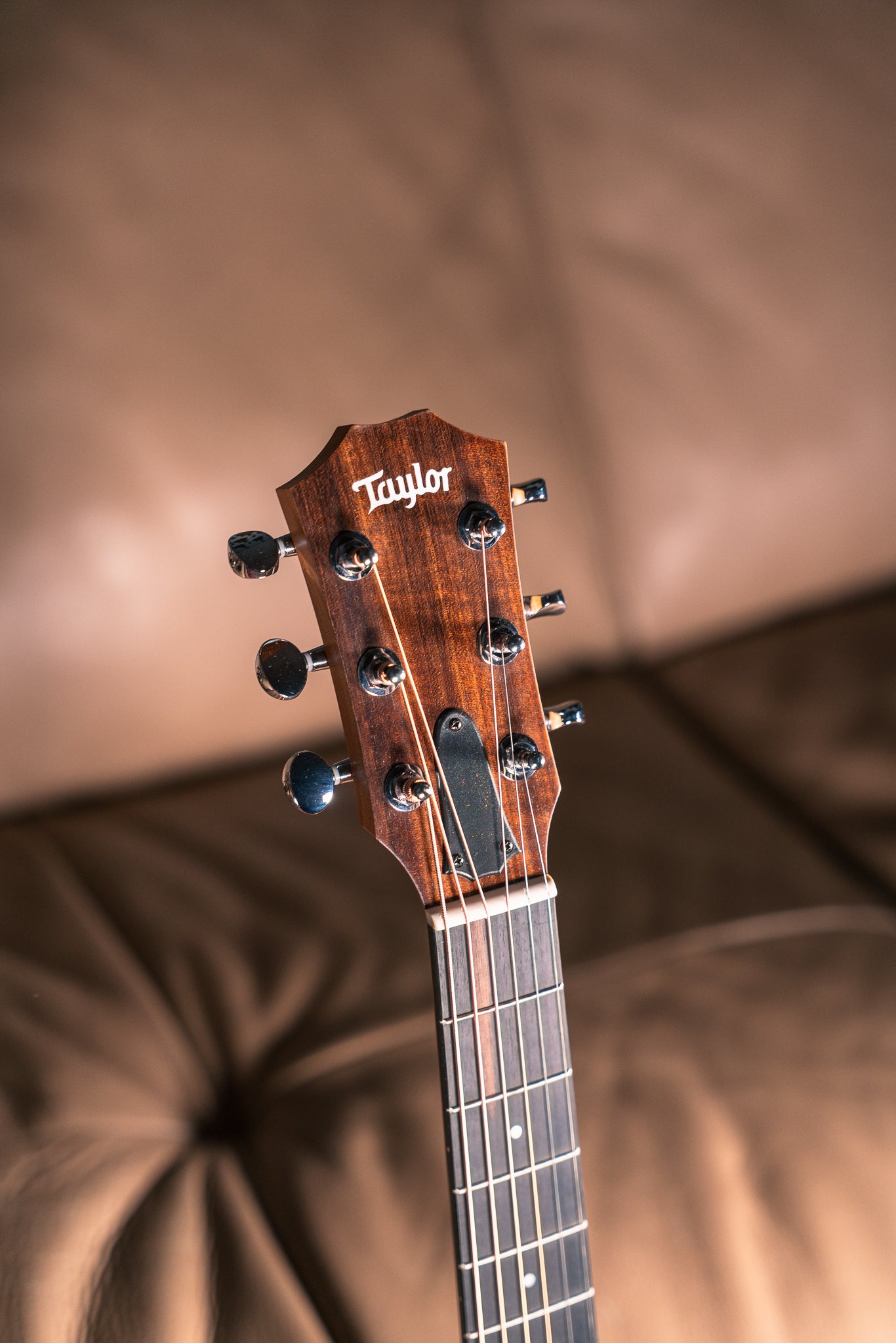 Taylor GS Mini Mahogany