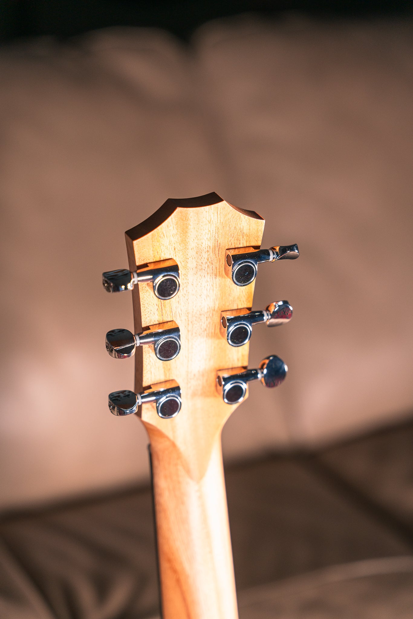 Taylor GS Mini Mahogany